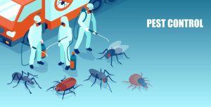 Pest-Control-Company