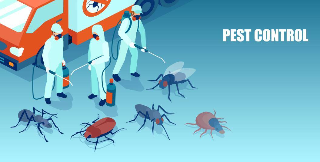 Pest-Control-Company